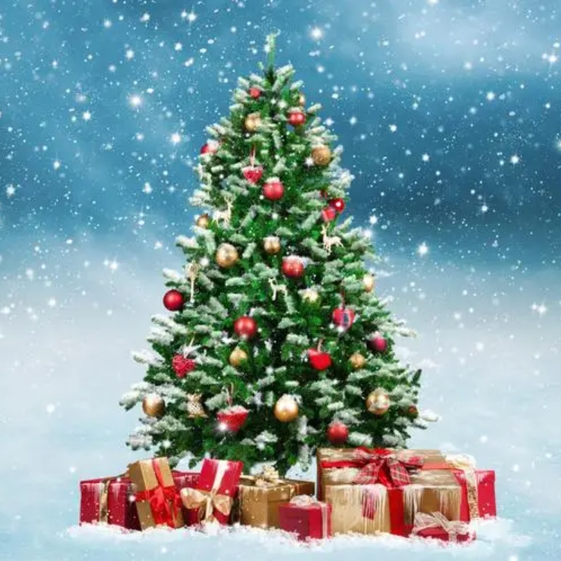 Christmas is here. Choose a piece of jewelry for the person you love the most. Christmas is here. Choose a piece of jewelry for the person you love the most.