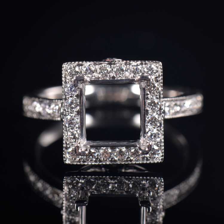 Fine Princess Cut Lady Ring Setting